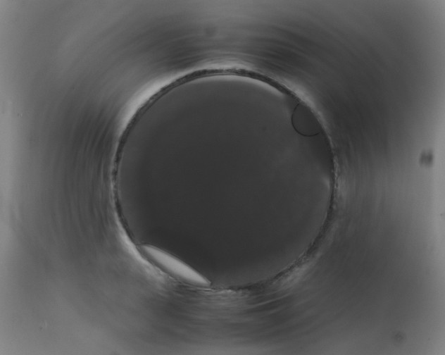 X0000113850943200910221416