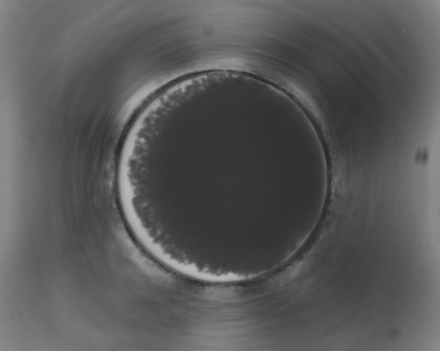 X0000113850944200910221416