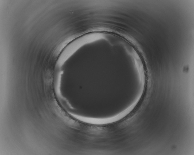 X0000113850945200910221416