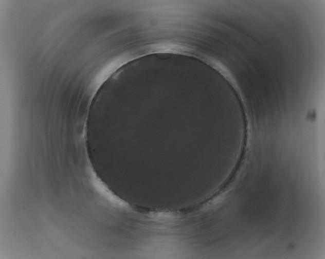 X0000113850946200910221416