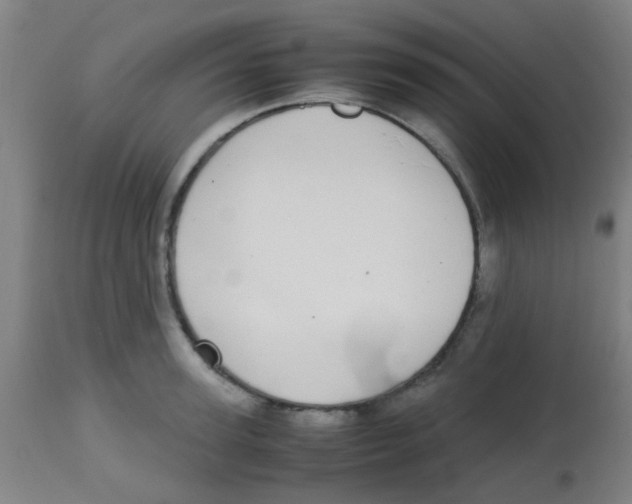 X0000113850947200910221416