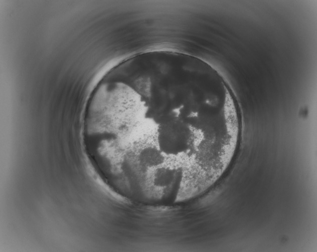 X0000113850949200910221416