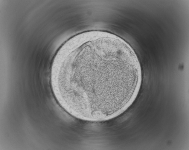 X0000113850950200910221416