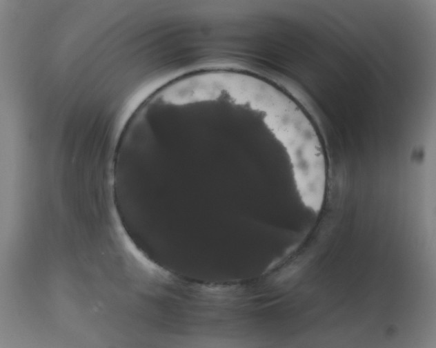 X0000113850951200910221416