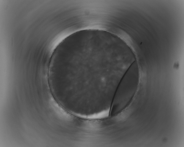 X0000113850952200910221416