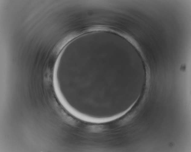 X0000113850953200910221416