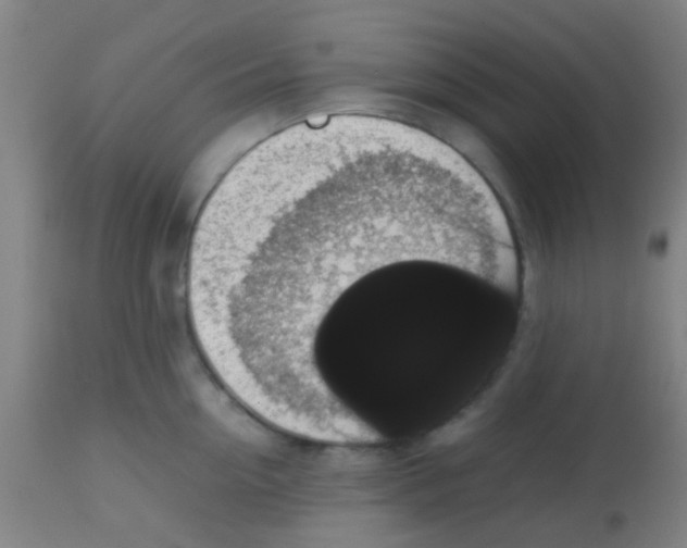 X0000113850954200910221416