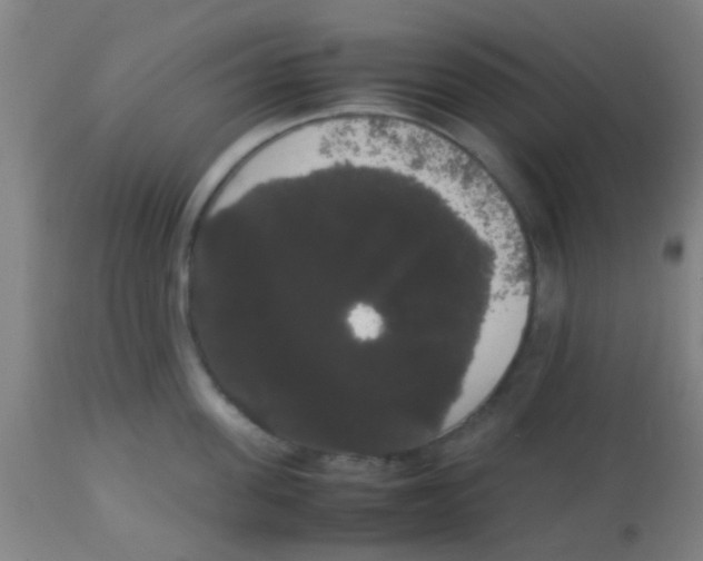 X0000113850955200910221416