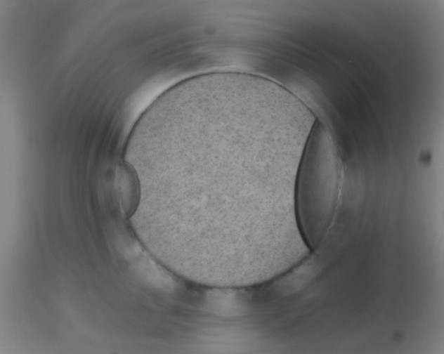 X0000113850956200910221416