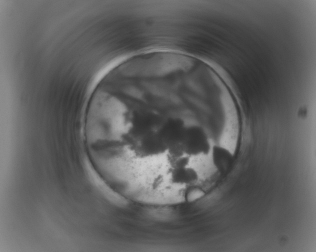 X0000113850957200910221416