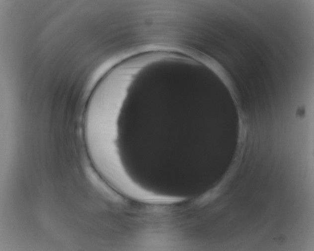 X0000113850958200910221416