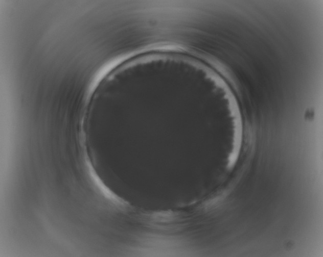 X0000113850959200910221416