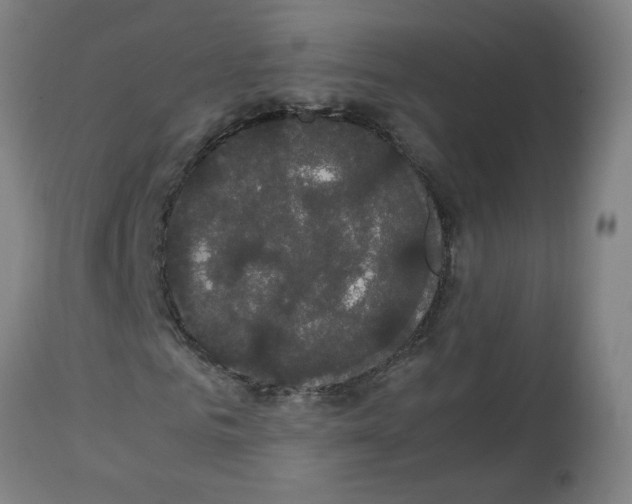 X0000113850961200910221415