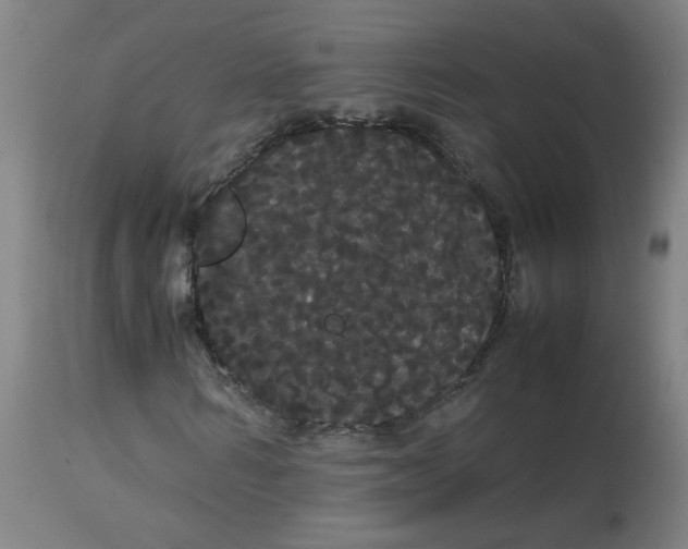 X0000113850962200910221415