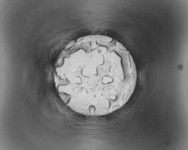 X0000113850963200910221415