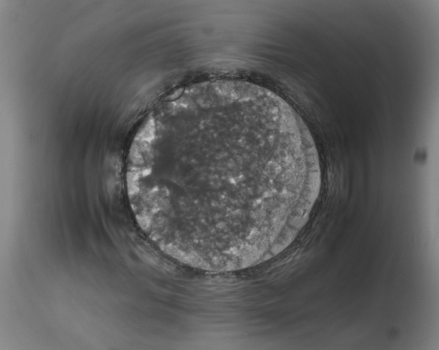 X0000113850964200910221415