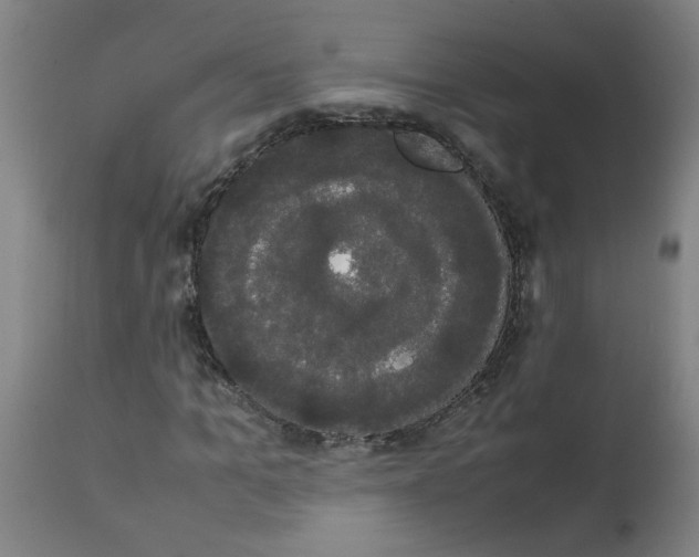 X0000113850965200910221415