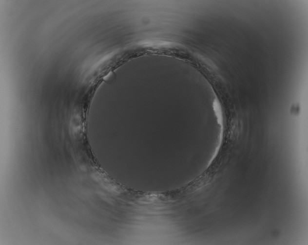 X0000113850966200910221415