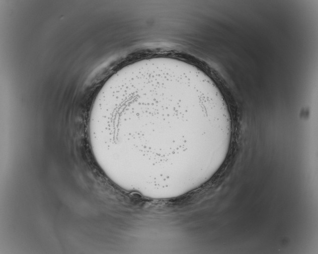 X0000113850967200910221415