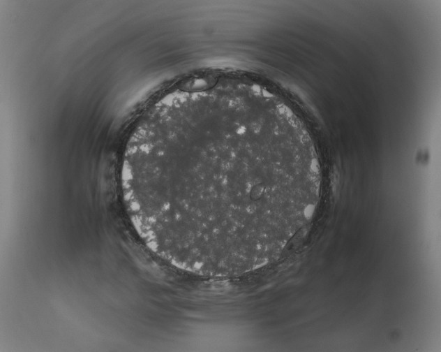 X0000113850968200910221415