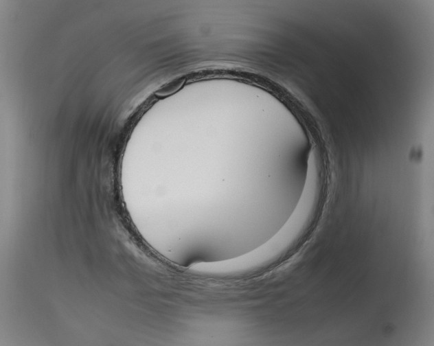 X0000113850969200910221415