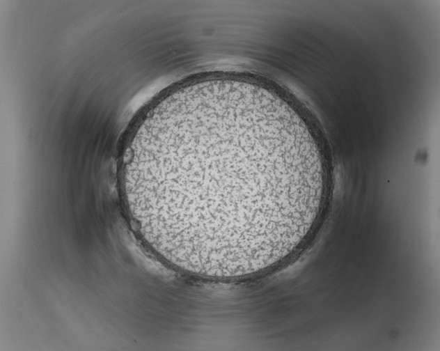 X0000113850970200910221415