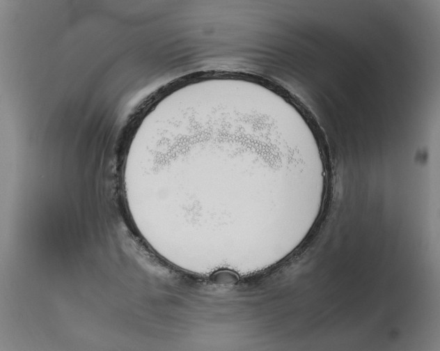 X0000113850971200910221415