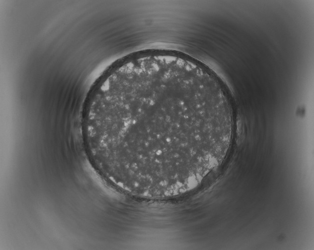 X0000113850972200910221415