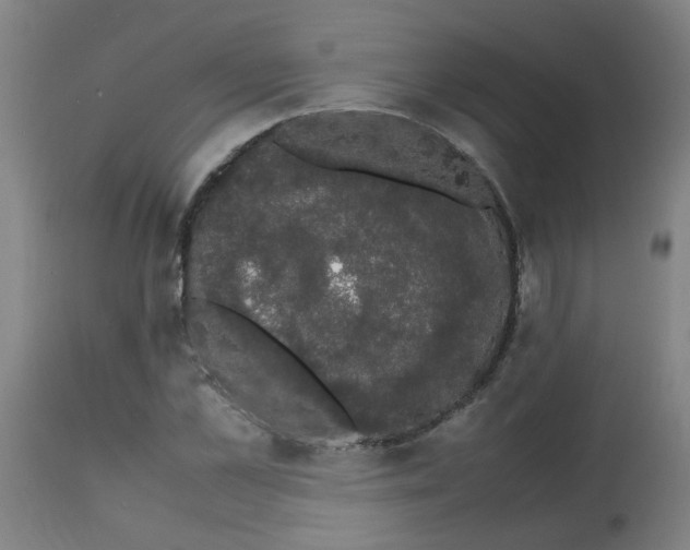 X0000113850973200910221415