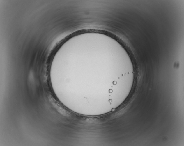 X0000113850974200910221415