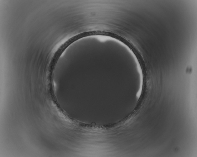 X0000113850975200910221415