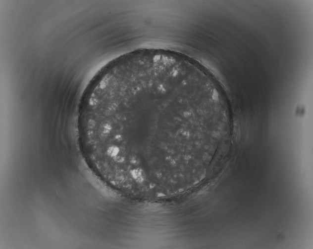 X0000113850976200910221415