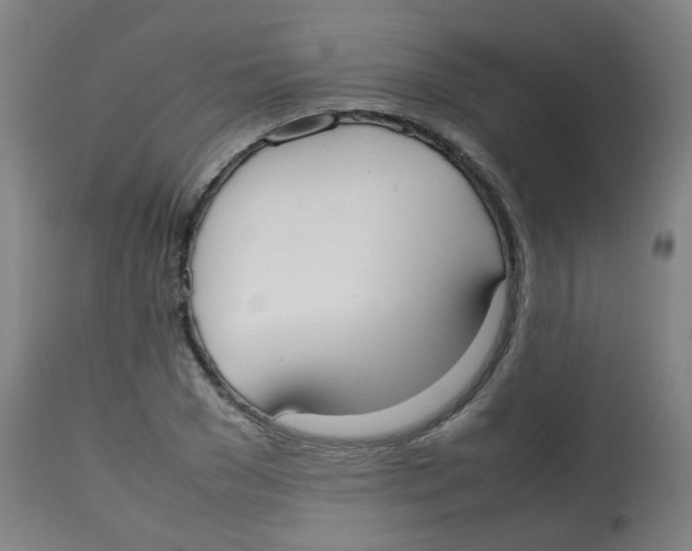 X0000113850977200910221415