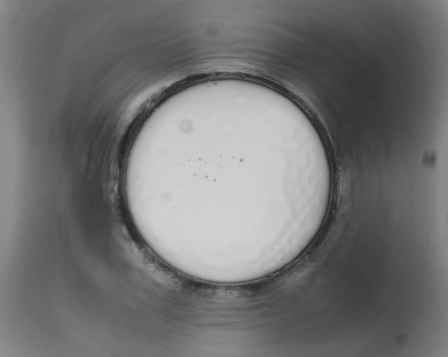 X0000113850979200910221415