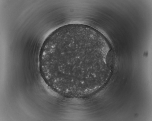 X0000113850980200910221415