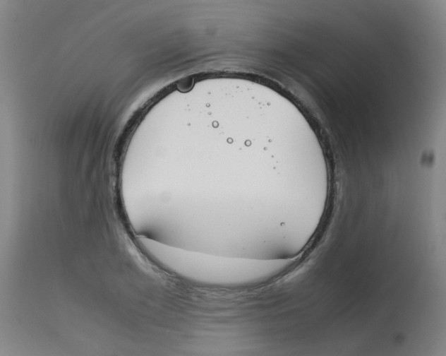 X0000113850981200910221415