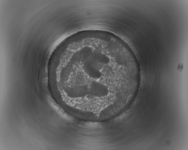 X0000113850982200910221415