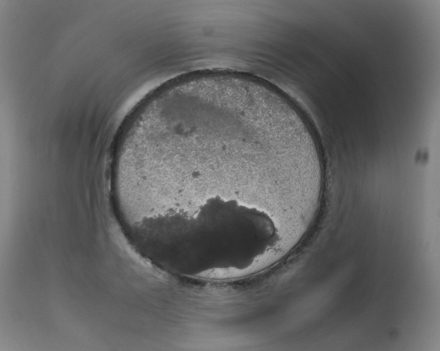 X0000113850983200910221415