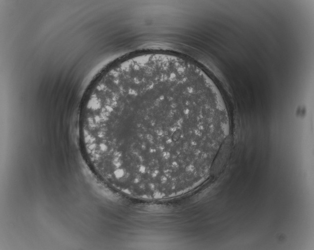 X0000113850984200910221415