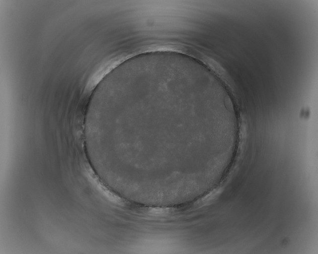 X0000113850985200910221415