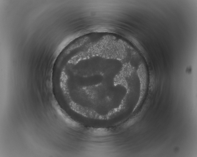 X0000113850986200910221415