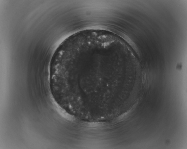 X0000113850988200910221415