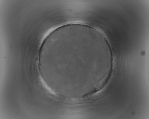 X0000113850989200910221415