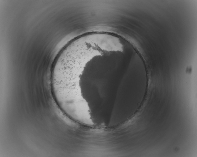 X0000113850990200910221415