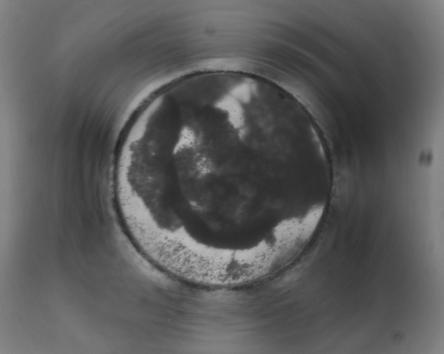 X0000113850992200910221415