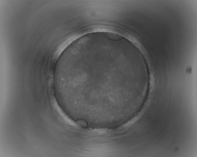 X0000113850993200910221415