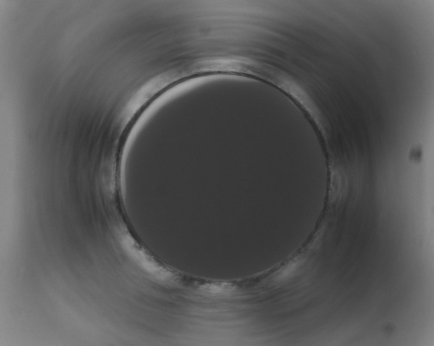 X0000113850994200910221415