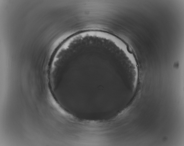 X0000113850995200910221415