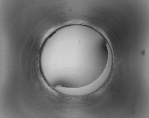 X0000113850997200910221415