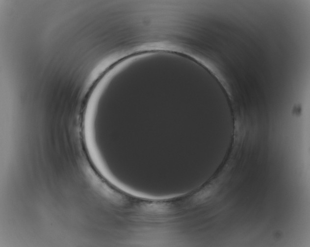 X0000113850998200910221415